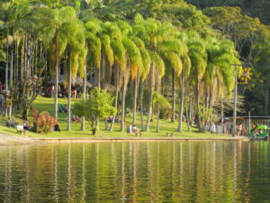 parque-malwe-jaragua-do-sul